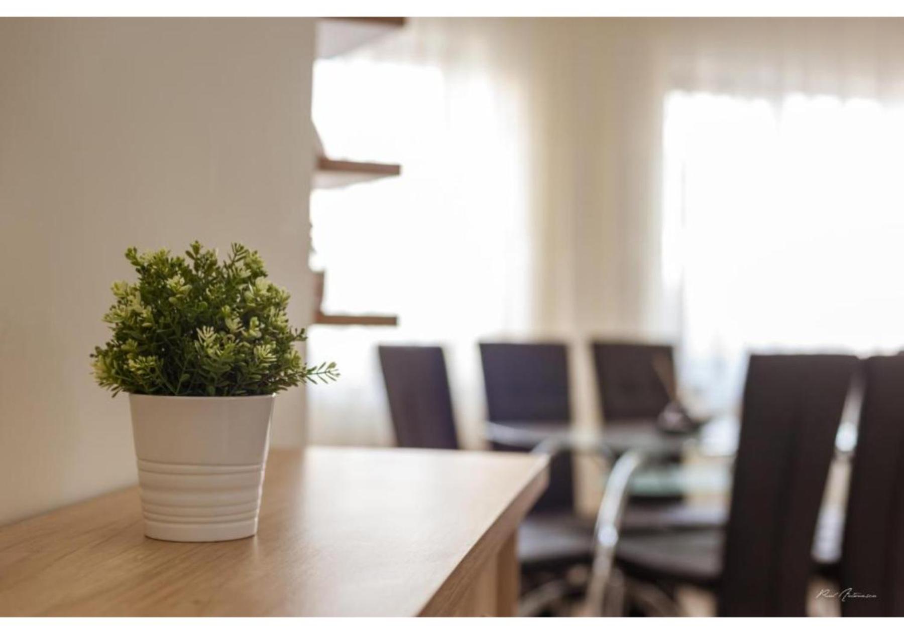 Luxury Apartment 피테슈티 외부 사진